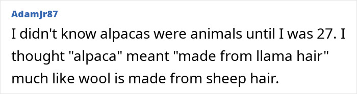 Oops! 53 Times People Totally Cringed and We Loved It