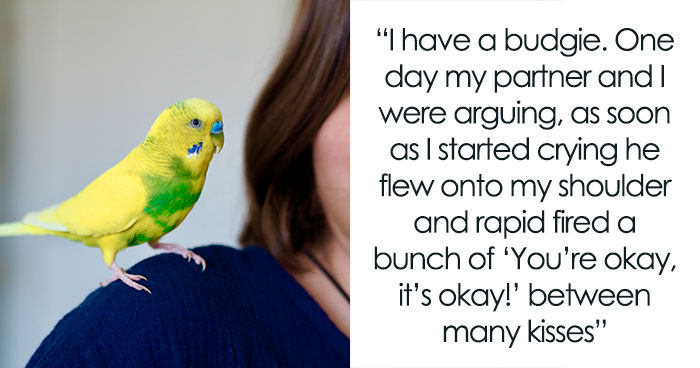 51 Wildly Human Things Pets Have Done That Totally Blew Our Minds