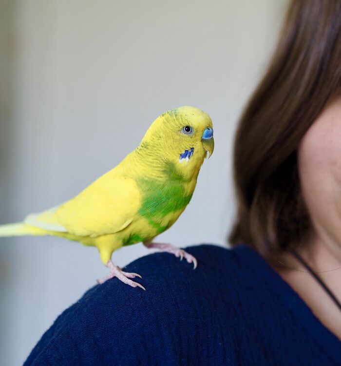51 Wildly Human Things Pets Have Done That Totally Blew Our Minds