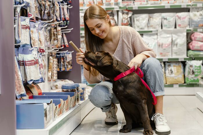 51 Wildly Human Things Pets Have Done That Totally Blew Our Minds