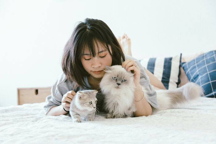 51 Wildly Human Things Pets Have Done That Totally Blew Our Minds