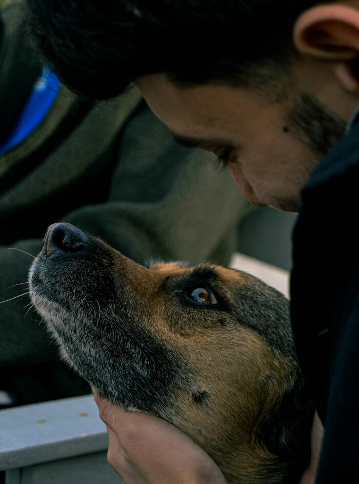 51 Wildly Human Things Pets Have Done That Totally Blew Our Minds