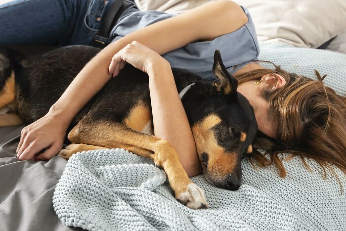 51 Wildly Human Things Pets Have Done That Totally Blew Our Minds