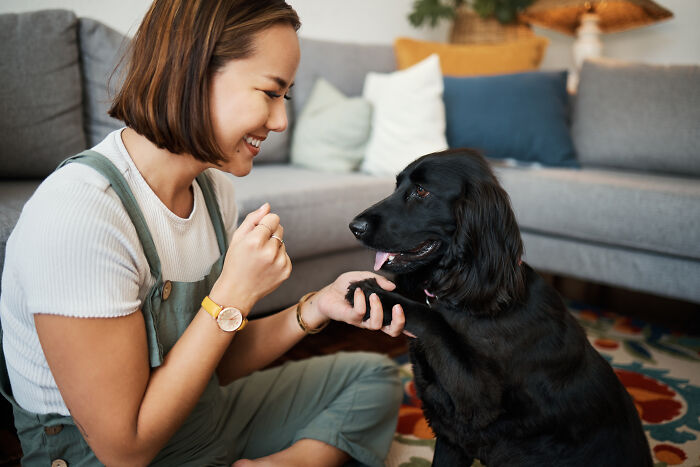 51 Wildly Human Things Pets Have Done That Totally Blew Our Minds
