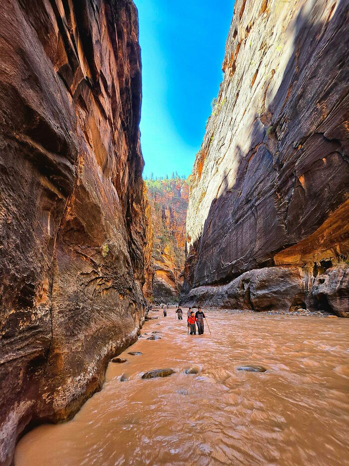 Zion’s National Park Adventure: Kids Rock The Narrows