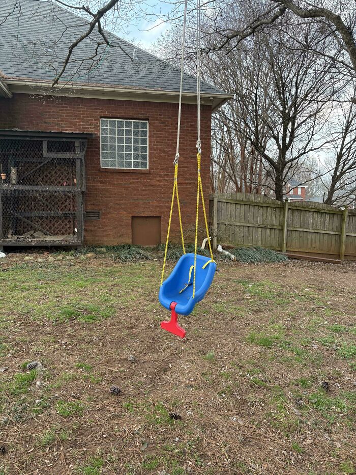 The Classic Swing Every Parent Has