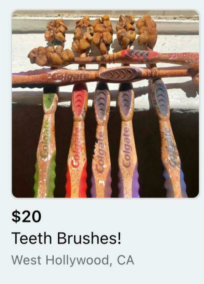 The Toothbrush Squad