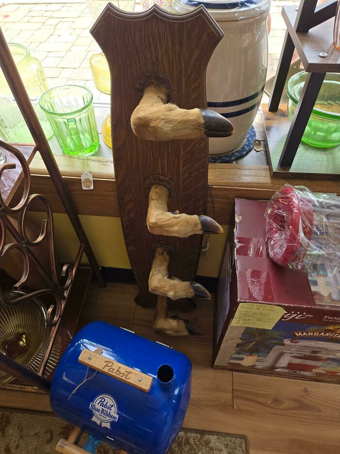 Thrift Store Horrors: Deer Legs Included