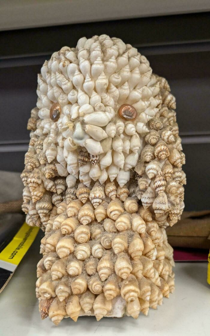 Seashell Poodle: A UK Charity Shop Treasure