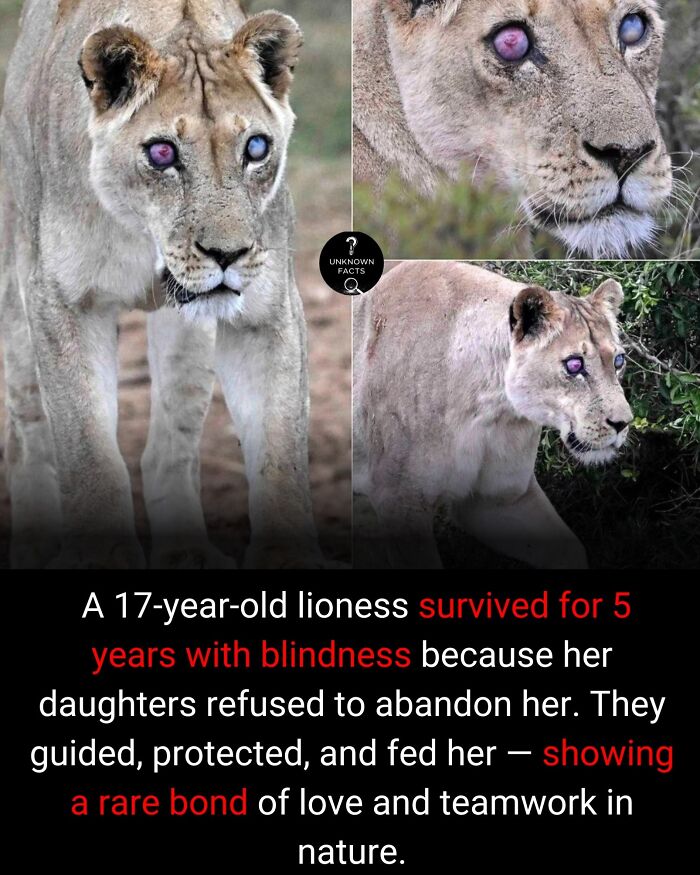 Wait Till You Hear These Totally Wild Real-Life Stories!