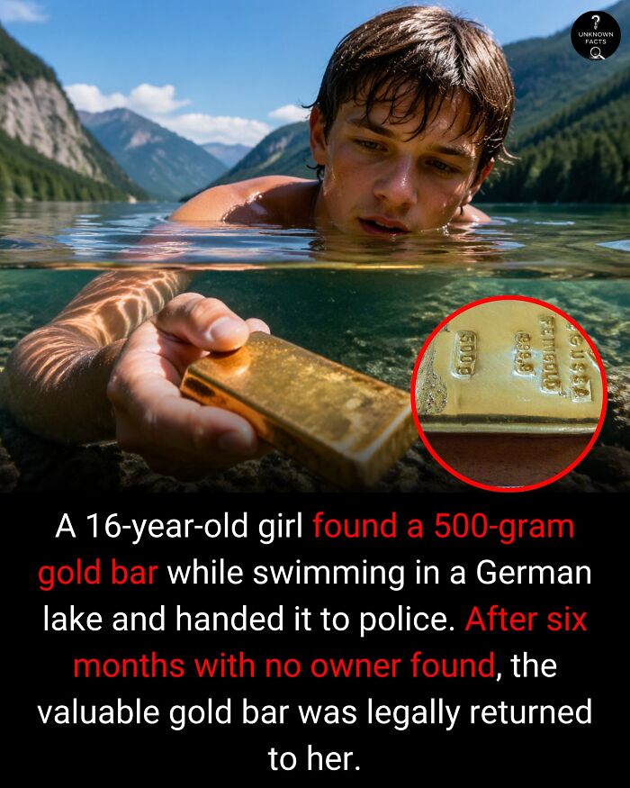 Wait Till You Hear These Totally Wild Real-Life Stories!