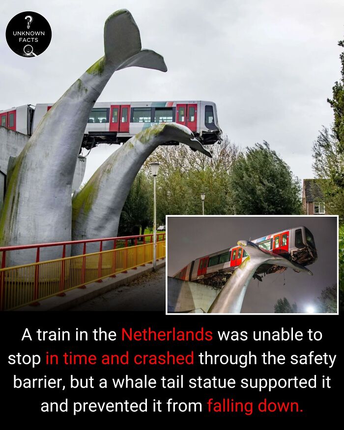 Wait Till You Hear These Totally Wild Real-Life Stories!