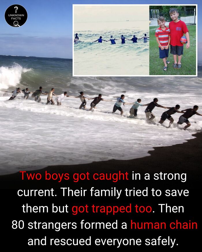 Wait Till You Hear These Totally Wild Real-Life Stories!