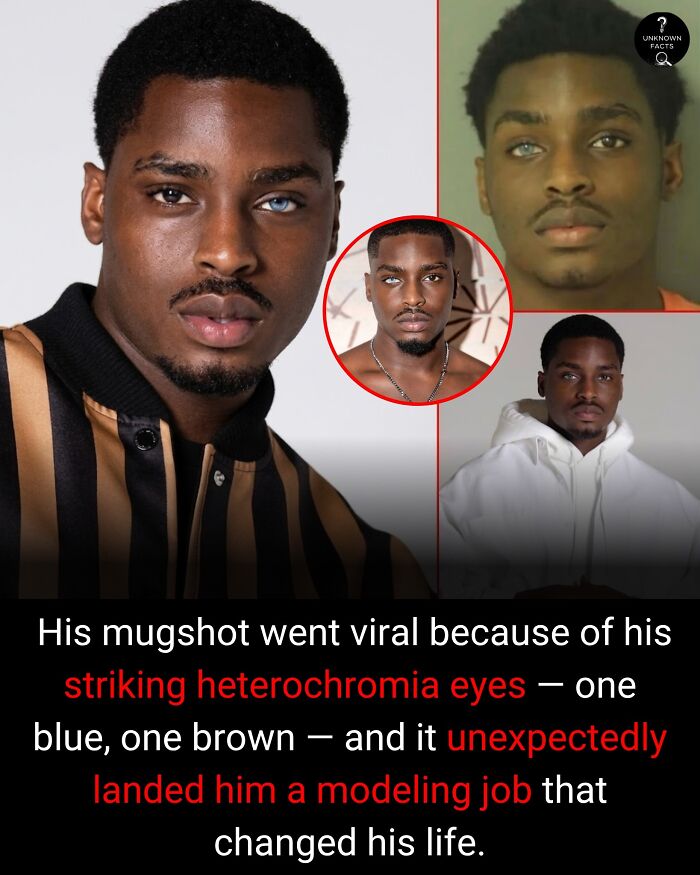 Wait Till You Hear These Totally Wild Real-Life Stories!