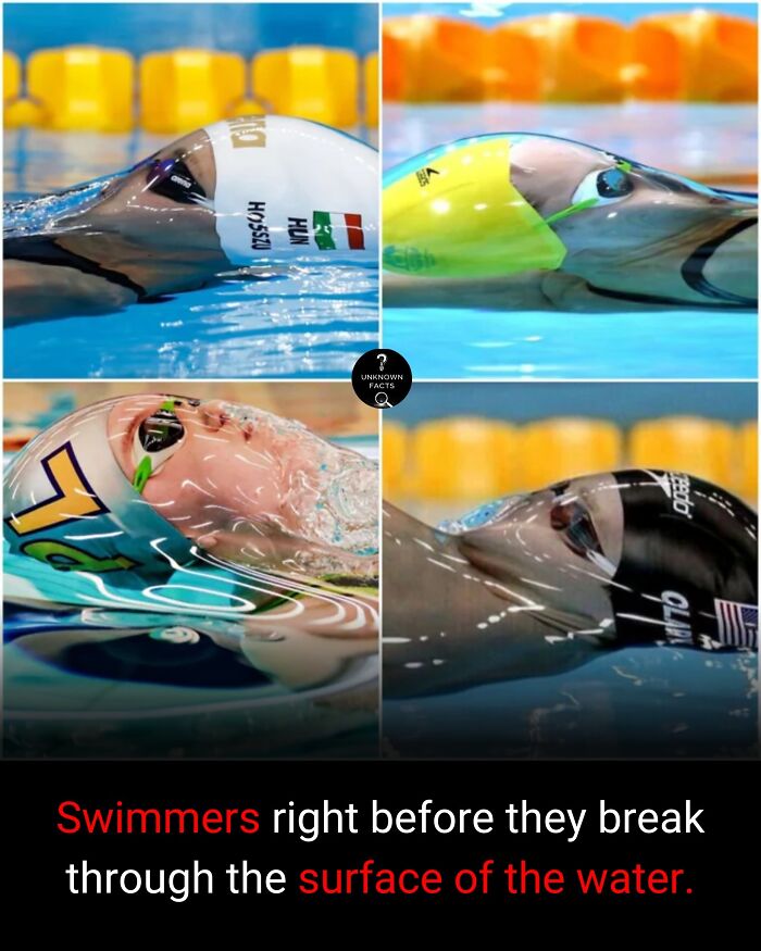 Wait Till You Hear These Totally Wild Real-Life Stories!
