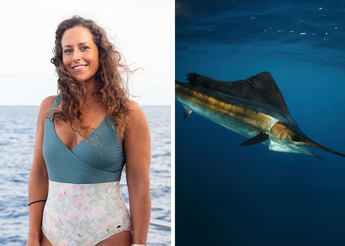 Poked by a Swordfish? Yep, That Happened