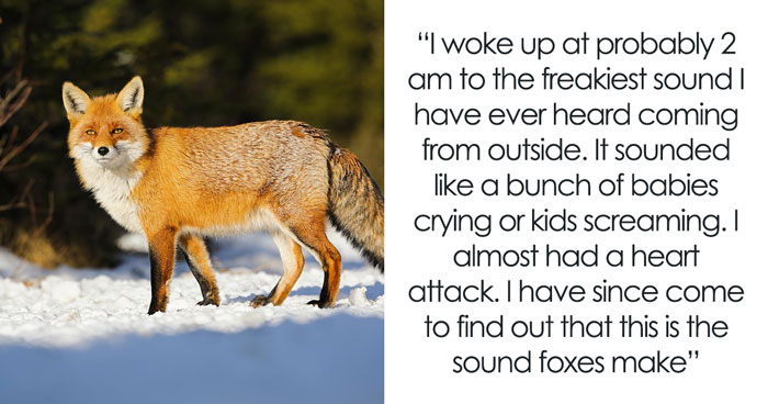 35 Sounds That Totally Gave People the Creeps (And Yeah, You Don’t Want to Hear ’Em)
