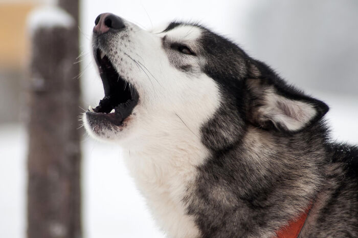 35 Sounds That Totally Gave People the Creeps (And Yeah, You Don’t Want to Hear ’Em)