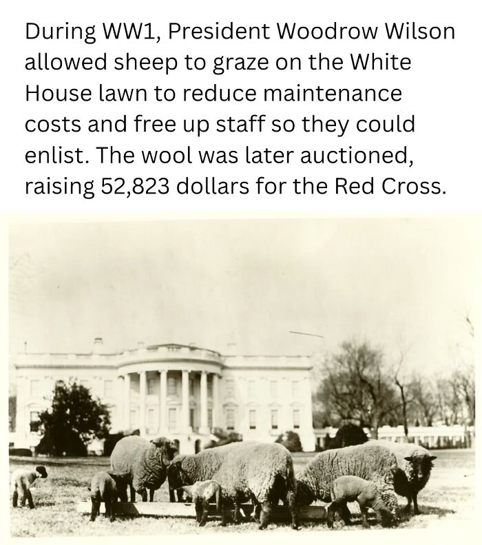 31 Mind-Blowing Old Photos That’ll Flip Your View of History Totally Upside Down