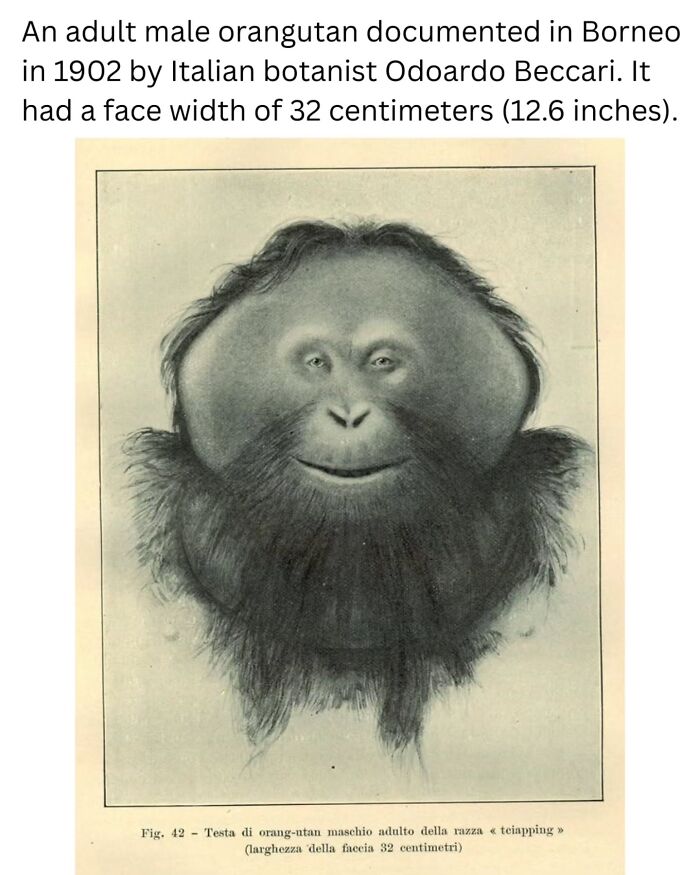 31 Mind-Blowing Old Photos That’ll Flip Your View of History Totally Upside Down