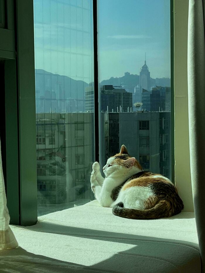 The Warm Window