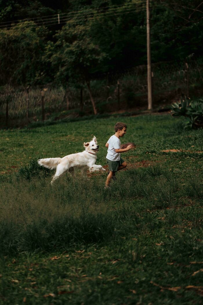 Boy And A Dog