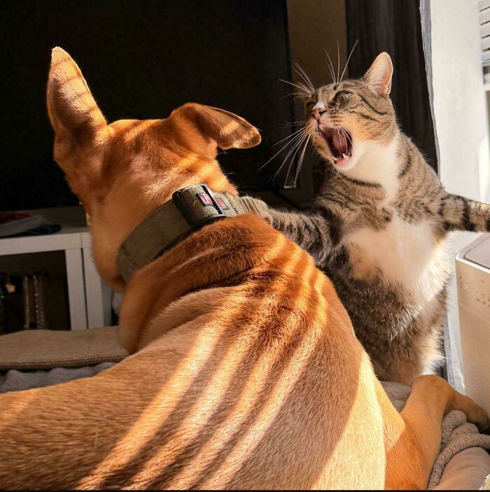 Clash Of The Titans