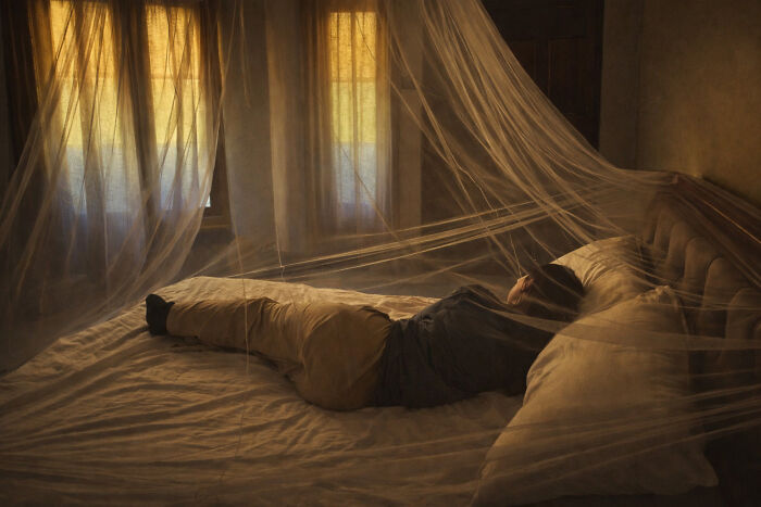 Nap In A Net