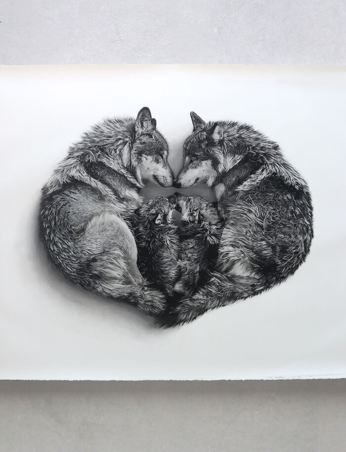 Wild Hearts, Wolves