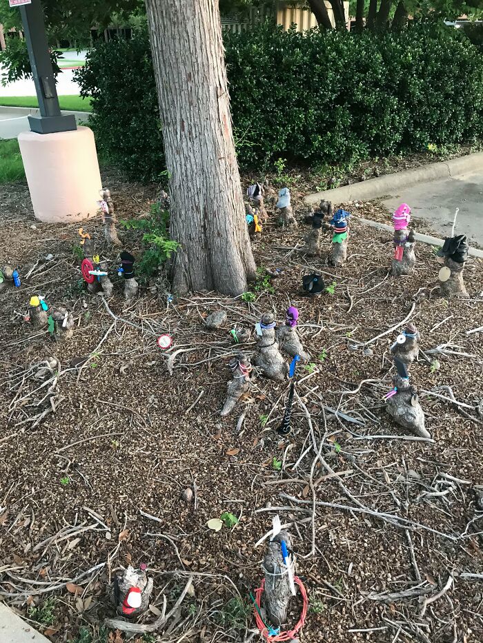 Grandpa Turns Junk From Walks Into Awesome Parking Lot Art