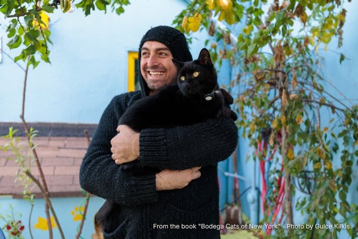 Omer & Senor: From One Cat to Thirty