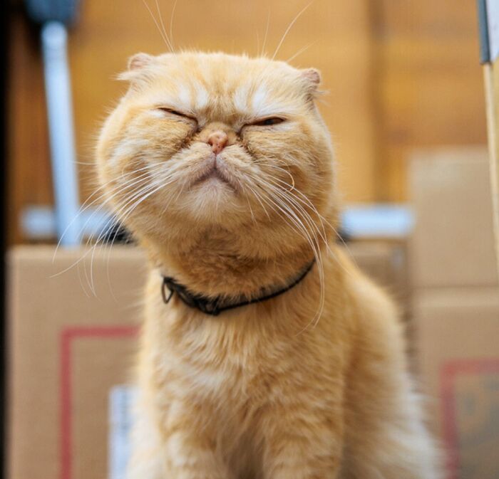 Mia: The Grumpy UES Princess