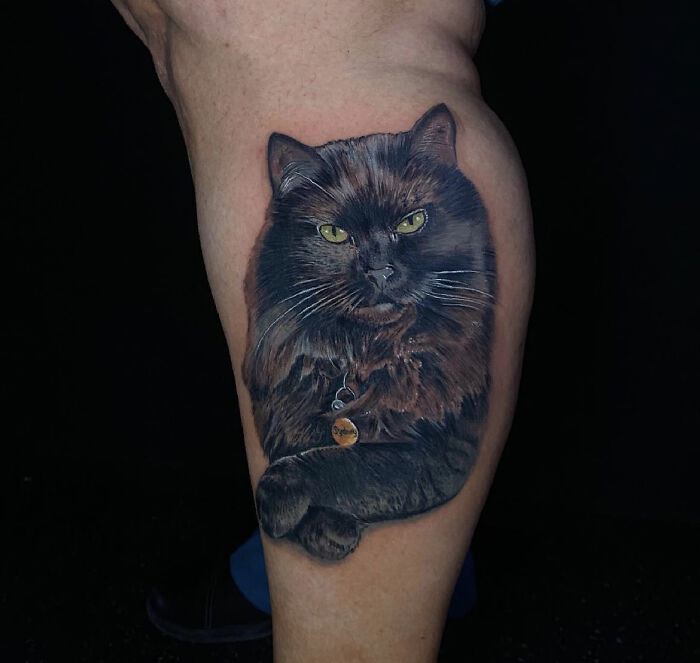 Not Just a Pet, Family Forever