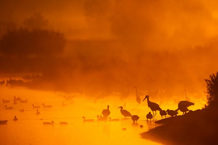 5th Place Special: "Foggy Morning Vibes" by Christoph Kaula