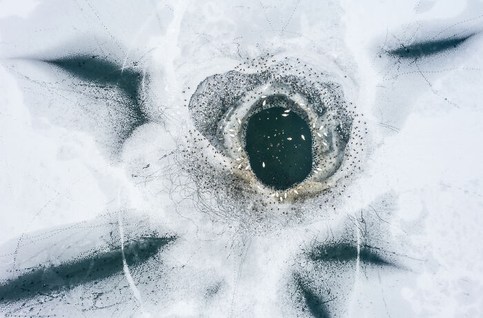 Jury’s Favorite: "Shelter at the Ice Hole" by Roy Müller