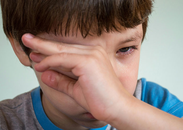 The Wildest Stories of Getting Back at Bullies (Because Why Not?)