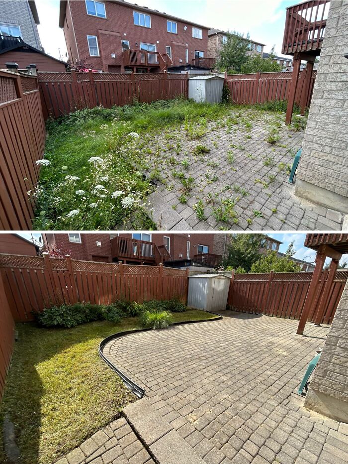Trashy Backyard to Chill Backyard: The Power of a Cleanup