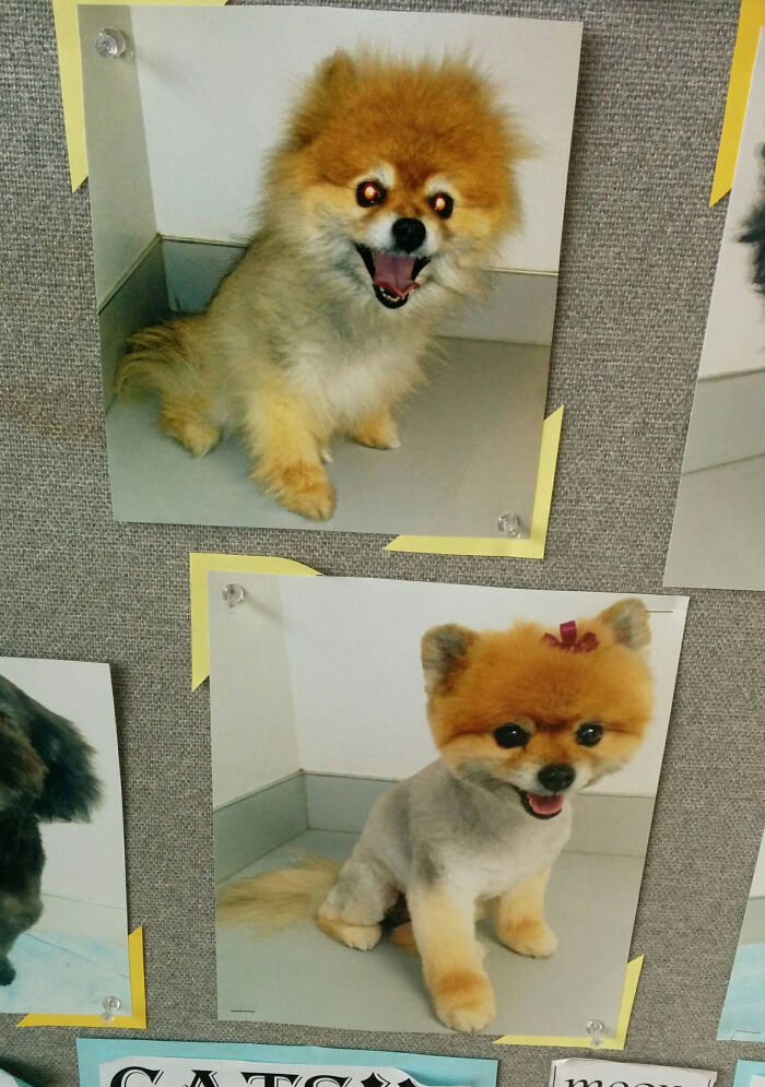 Haircut or Exorcism? Only $19.99 for This Spooky Makeover!