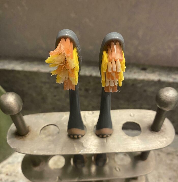The Toothbrush Horror My Brother Calls Hygiene