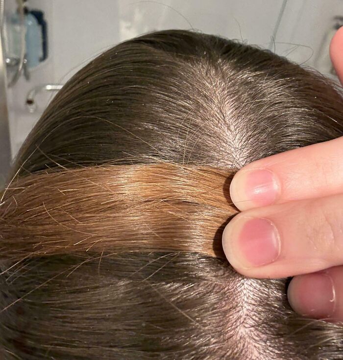 Roots vs. Ends: My Uncolored Hair’s Color Drama