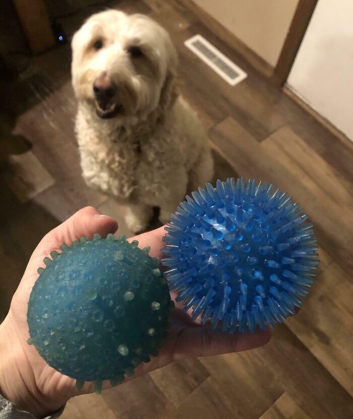 One Ball, Three Years of Beating: The Worn Out Winner