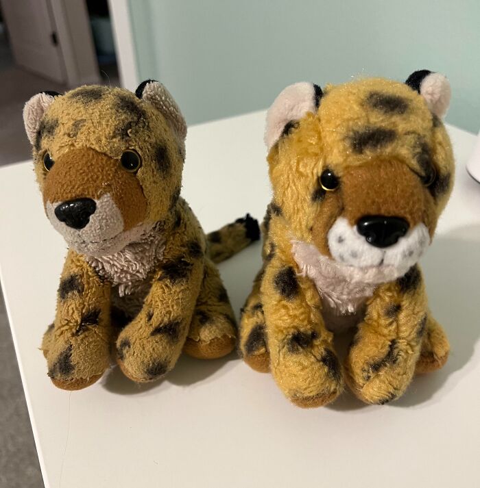 My Kid’s Favorite Stuffed Animal vs. The Brand New Backup Buddy