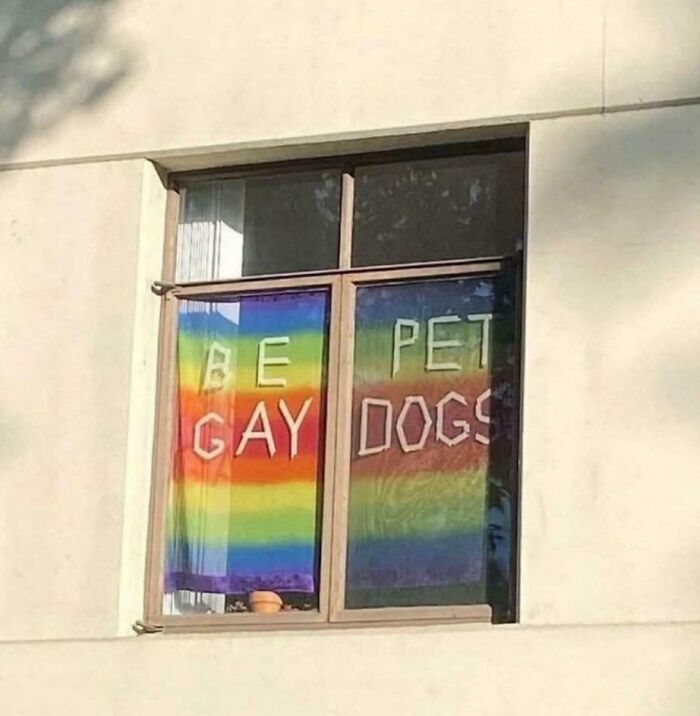 Be Pet Gay Dogs. Wait — What?