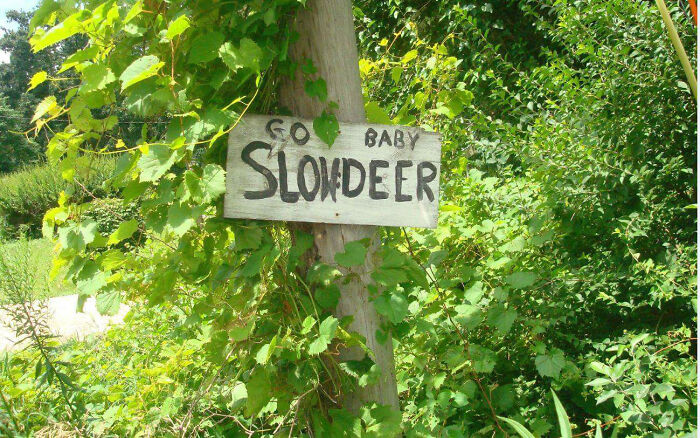 Wait, They Actually Made These Signs? 81 Sign Fails That’ll Totally Confuse You