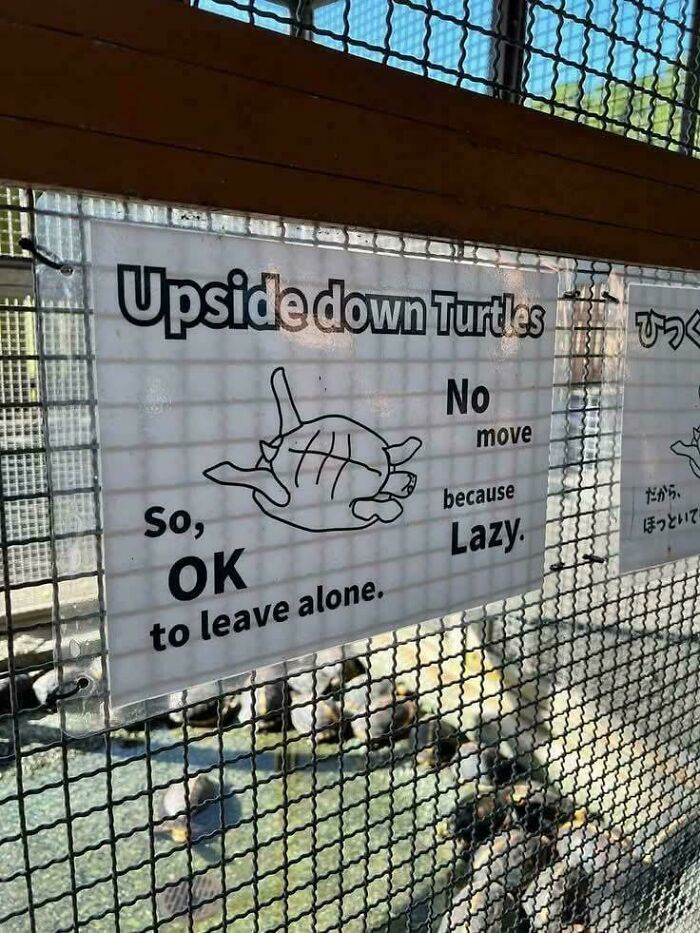 Wait, They Actually Made These Signs? 81 Sign Fails That’ll Totally Confuse You
