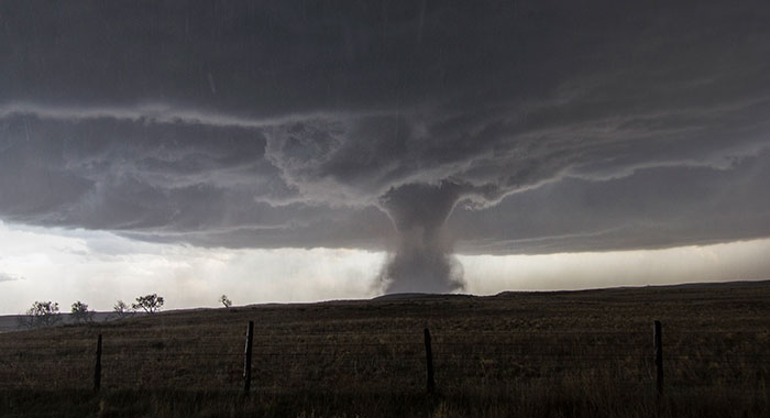 Real-Life Goosebumps: 47 Stories That Will Make You Say 'Nope' and Keep You Up Tonight