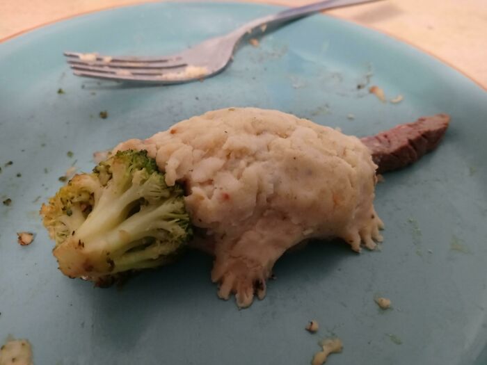 I Saw A Piece Of Broccoli That Looked Like An Opossum Face, So I Made It Into A Little Food Opossum
