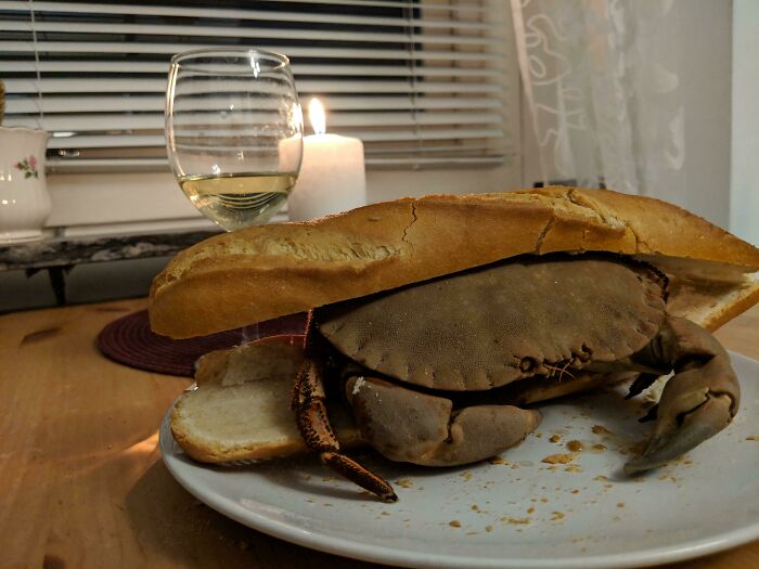 The Wildest Food Fails That’ll Make You Go ‘Wait, What?!’