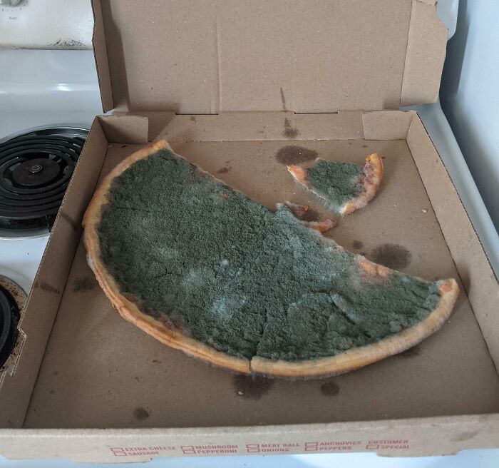The Wildest Food Fails That’ll Make You Go ‘Wait, What?!’