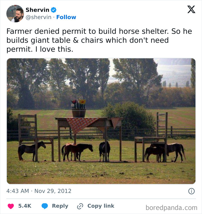 When Your Horse Gets Fancy Furniture Instead of a Barn